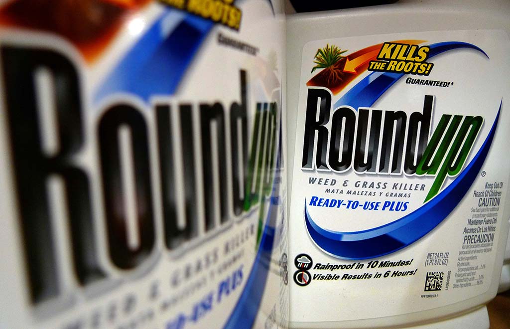 Rounup weed killer on the store shelf