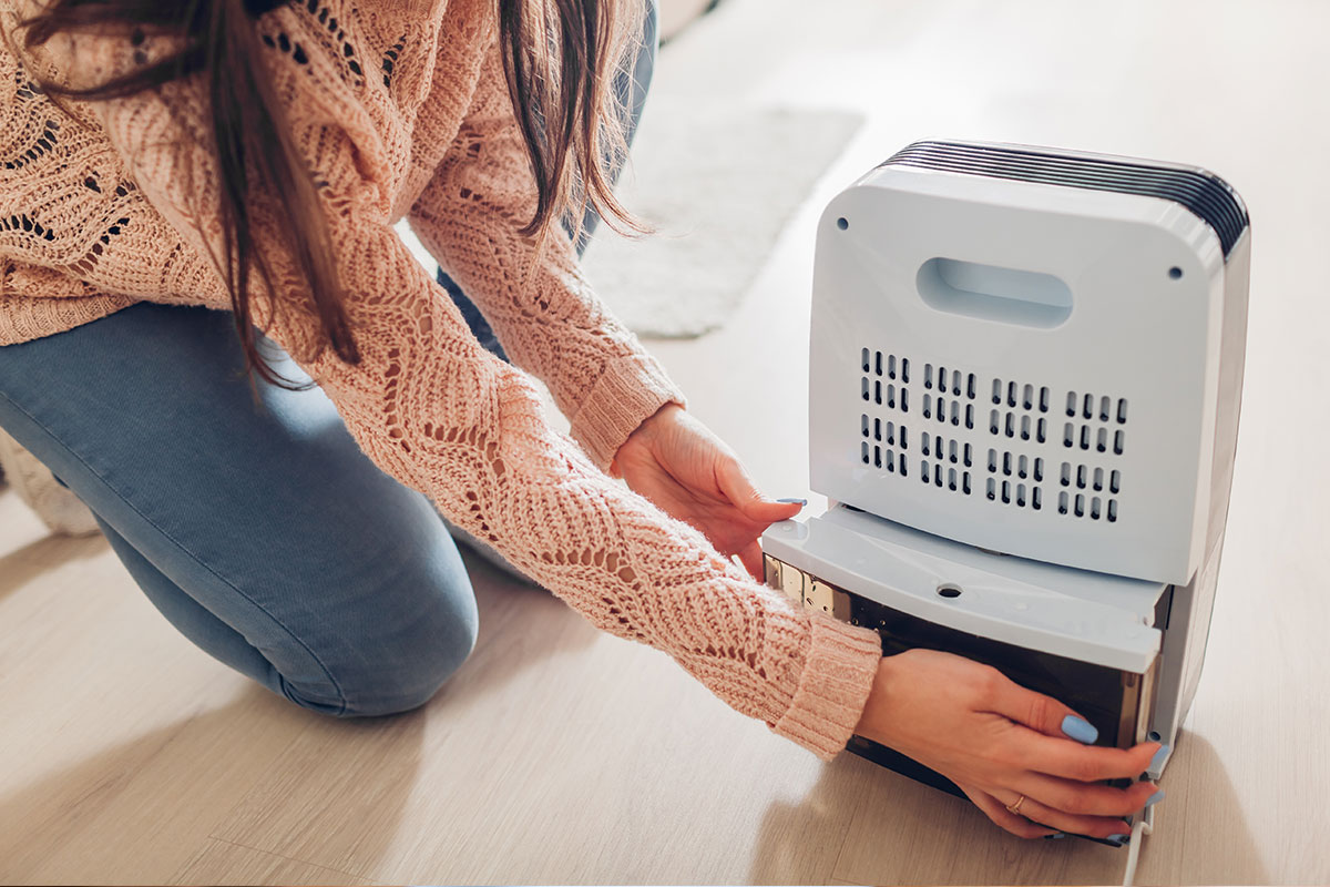 Control moisture with this $100 off Gree dehumidifier